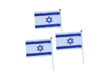 דגלוני ישראל + קש ליום העצמאות 12 יח'